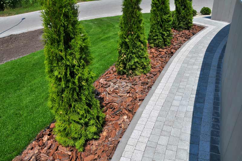 Landscaping in Big Spring, TX